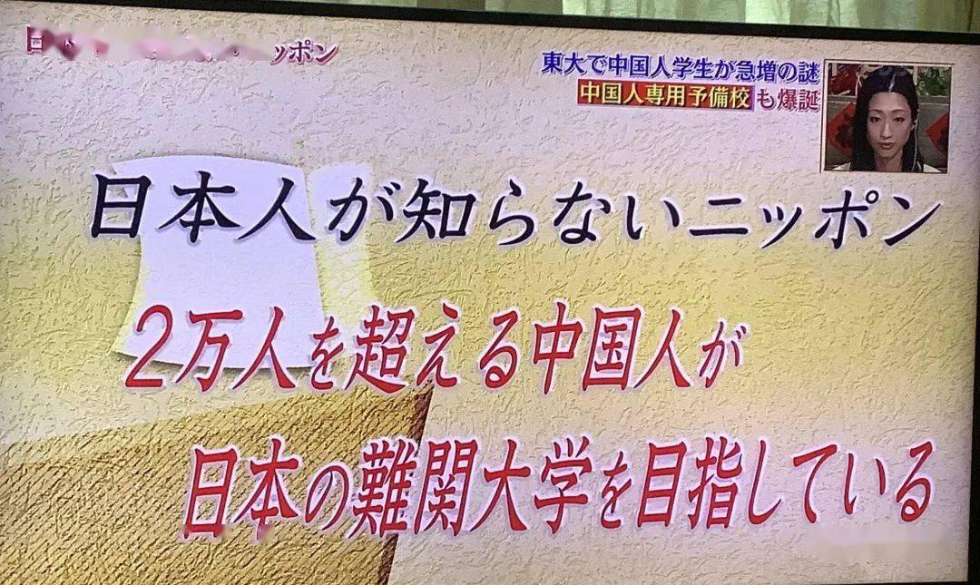毛网毛网，从网络现象到社会现象的深度解析