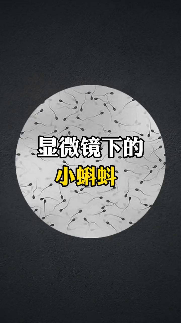 66人跳绳吉尼斯世界纪录探索人体奥秘，66个关于人体的科学知识-第2张图片