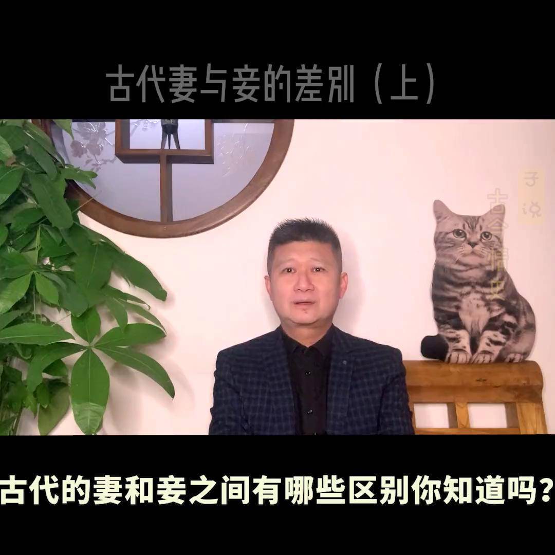 妾不如妻 王野妾不如妻——王野的独特魅力-第2张图片