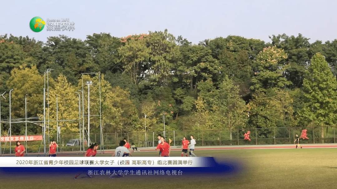 浙江农林大学夏婧茹事件浙江农林大学夏婧茹事件深度解析-第2张图片