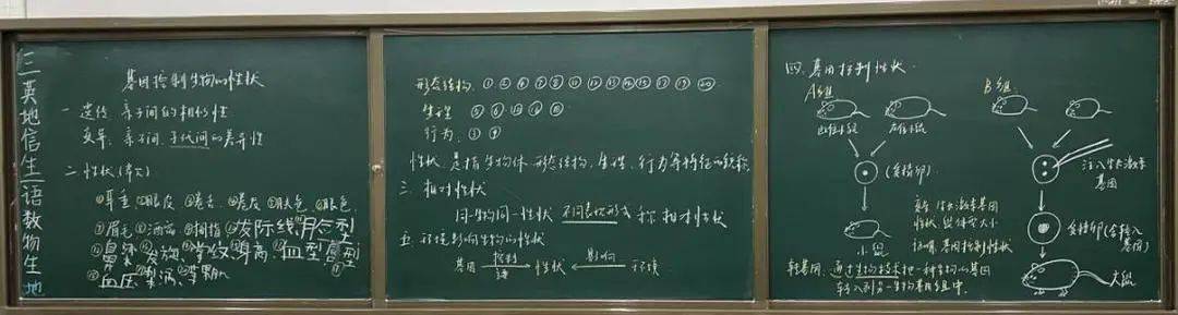 生物老师把我当做教材生物课堂上的小故事，老师拿我当例子的启示