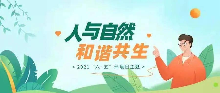 老奶奶与BGMBGM，人与自然的和谐乐章-第2张图片