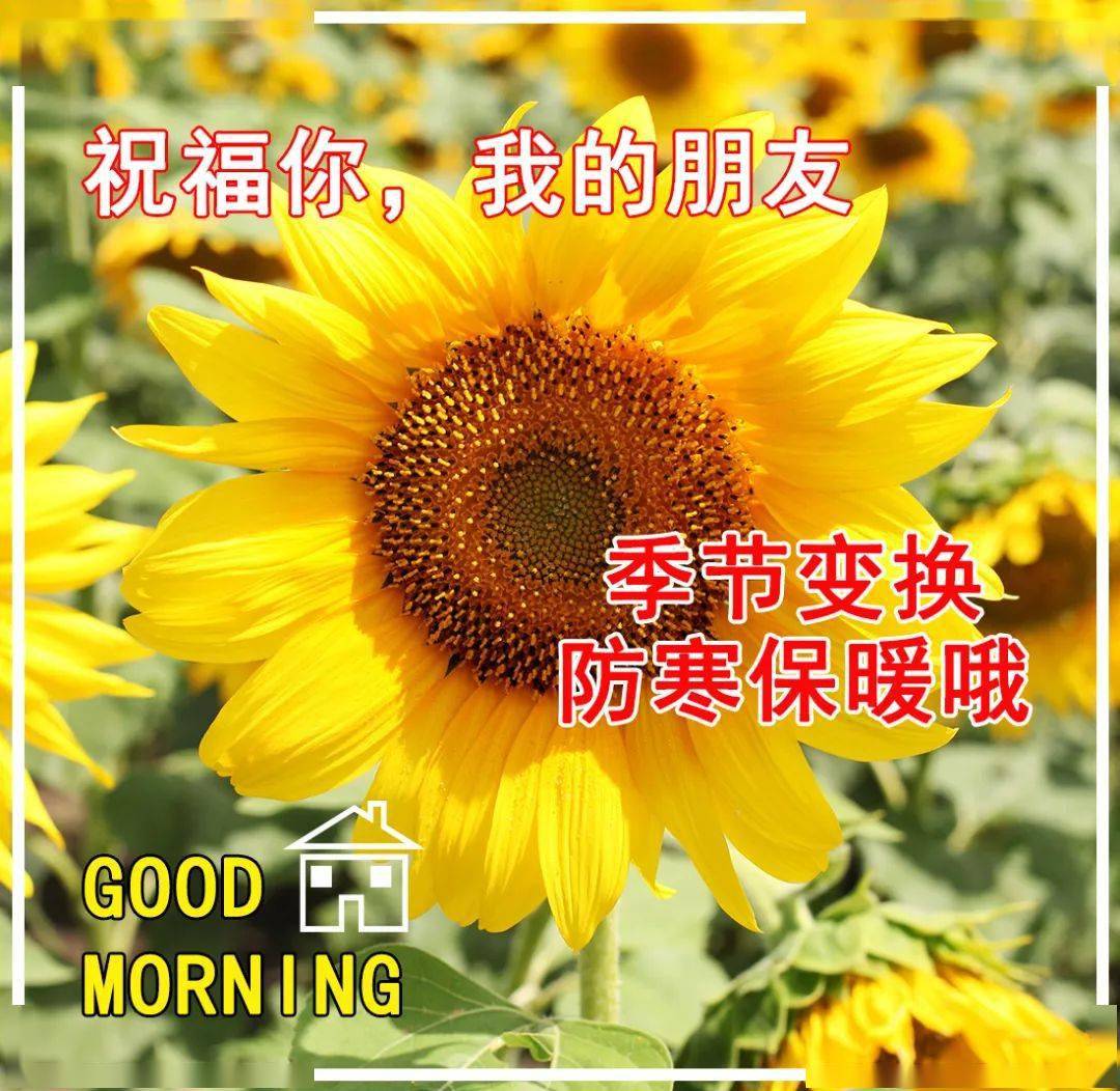 新产品上市祝福语新产品上市，引领潮流，开启新篇章