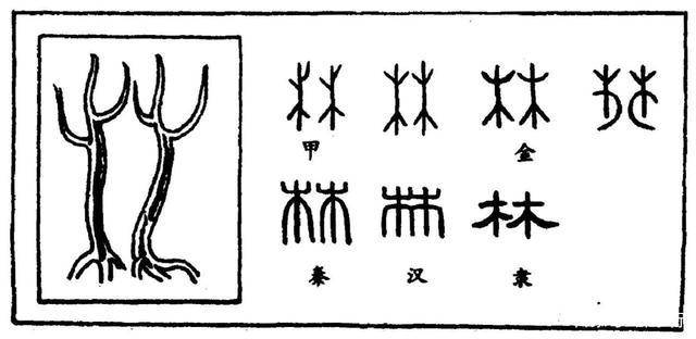 傅君婥傅君婥，一位独特的文化符号-第3张图片