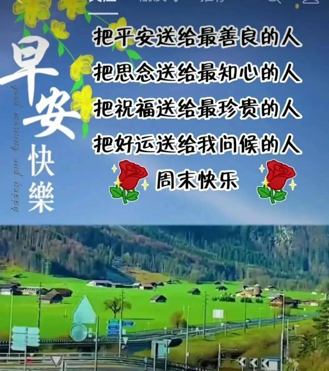 忘忧草下载，探索快乐与放松的数字世界