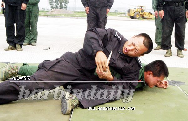 军警同志聊天室军警同志聊天室，团结、交流与共进的新平台-第1张图片