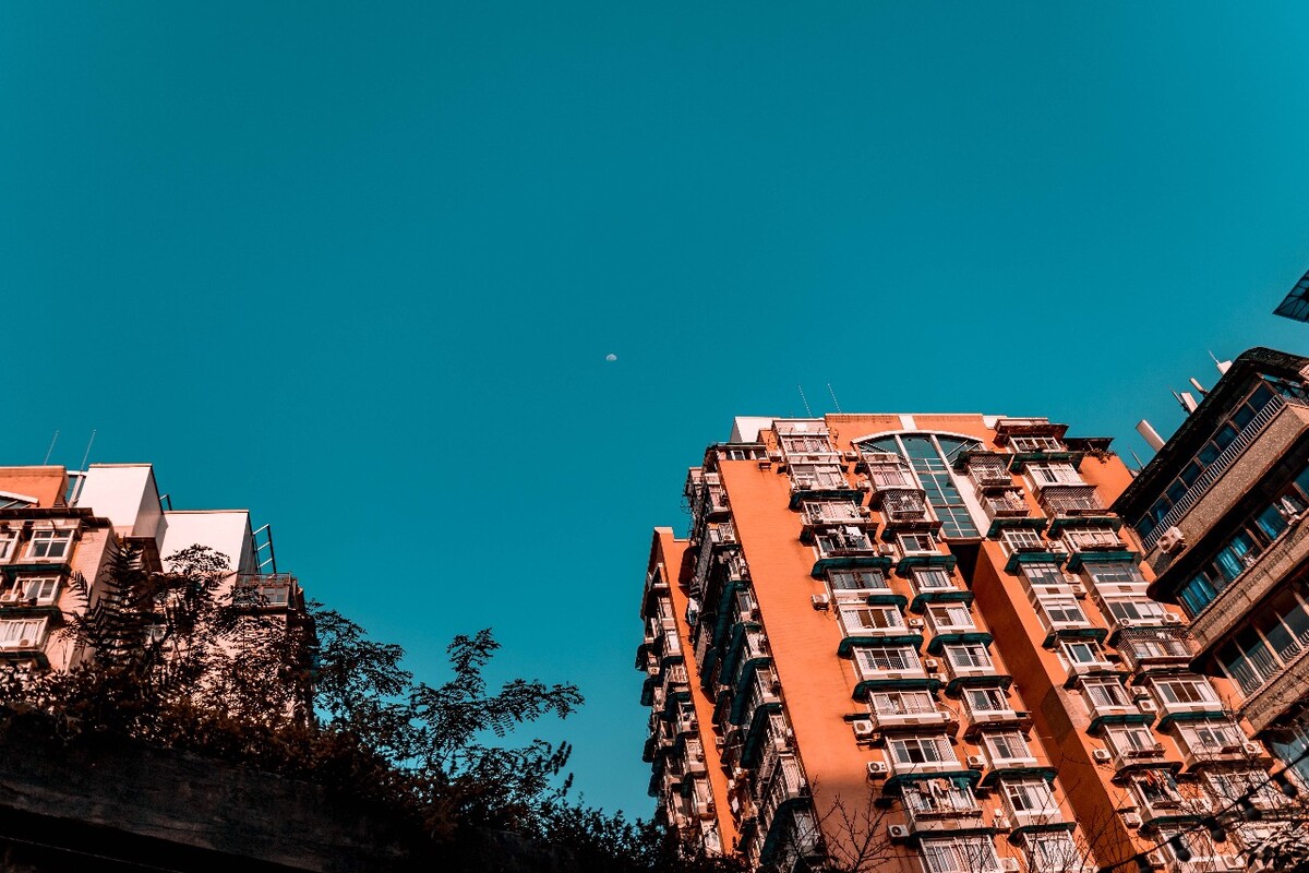 色悠悠网色悠悠网——网络世界的色彩之旅-第2张图片