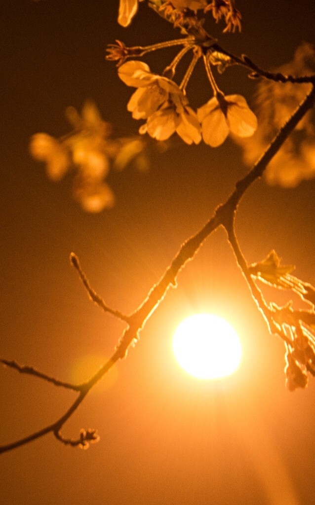 儿子夜里上我了夜深人静，与儿子的心灵交流