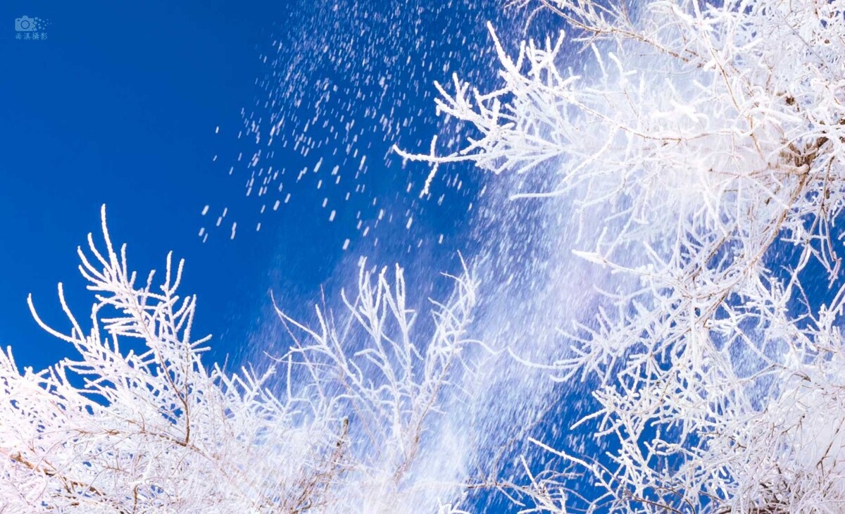 雪花飘影电影雪花飘落，影院时光——手机版观看体验-第2张图片