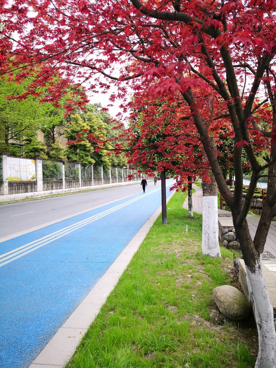 南通大学长椅南通大学长椅，校园里的静谧角落