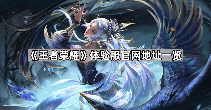 王者荣耀体验服资格申请，探索游戏新体验-第3张图片