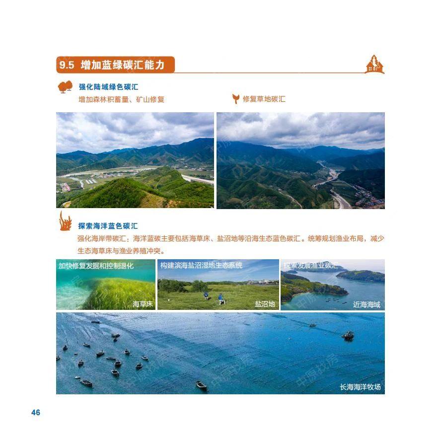 十八和谐综合探索十八和谐综合的内涵与价值-第3张图片