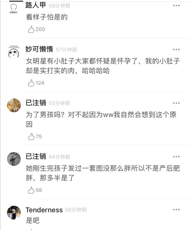四虎最新网名更新yw52777四虎最新网名更新，探索yw52777背后的故事