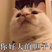 好大好硬好爽好深好硬视频探索性爱视频的魅力，深度、硬度与快感-第3张图片
