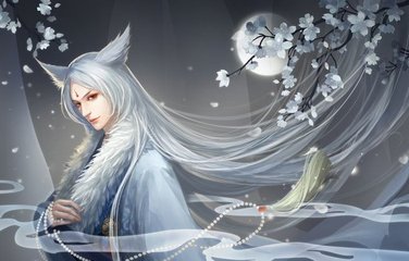 1v7多肉多车古言1v7的冒险之旅，多肉世界的多车狂欢