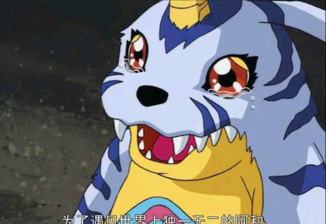 大象狼人加鲁鲁兽天赋探索97aixo的奥秘