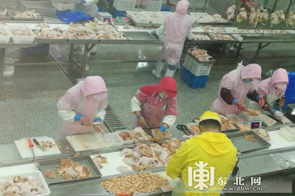 我获得了肉禽系统，一次全新的农业体验之旅-第1张图片