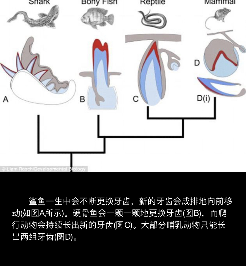 揭秘女性身体奥秘，女生的C点究竟在哪里？