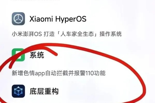 小米的日记完整版笔趣阁小米的日记完整版-第3张图片