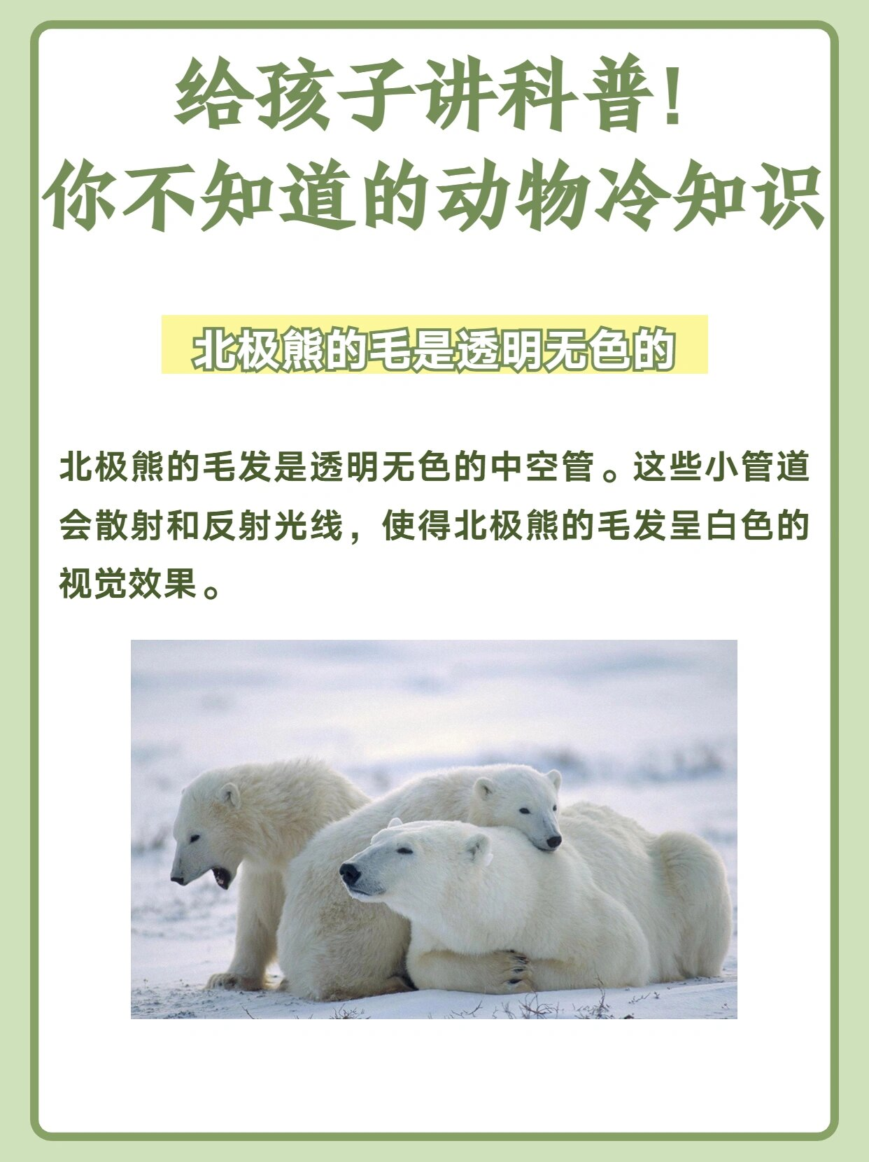 探索未知的奥秘，???的深度解析-第1张图片