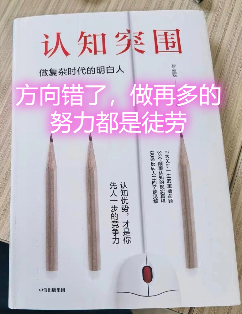 人品值分析，理解与评估的深度探讨