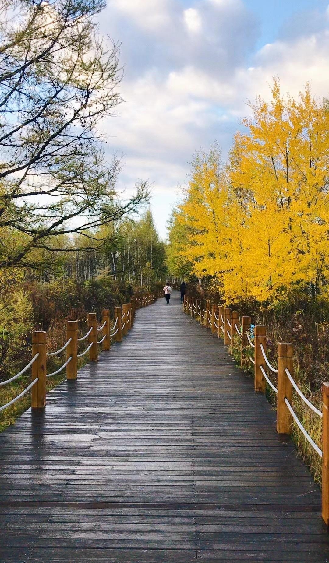 恋了爱了，一段美好爱情的旅程