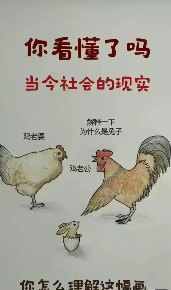 夫妻网夫妻网，构建情感桥梁的数字空间-第3张图片
