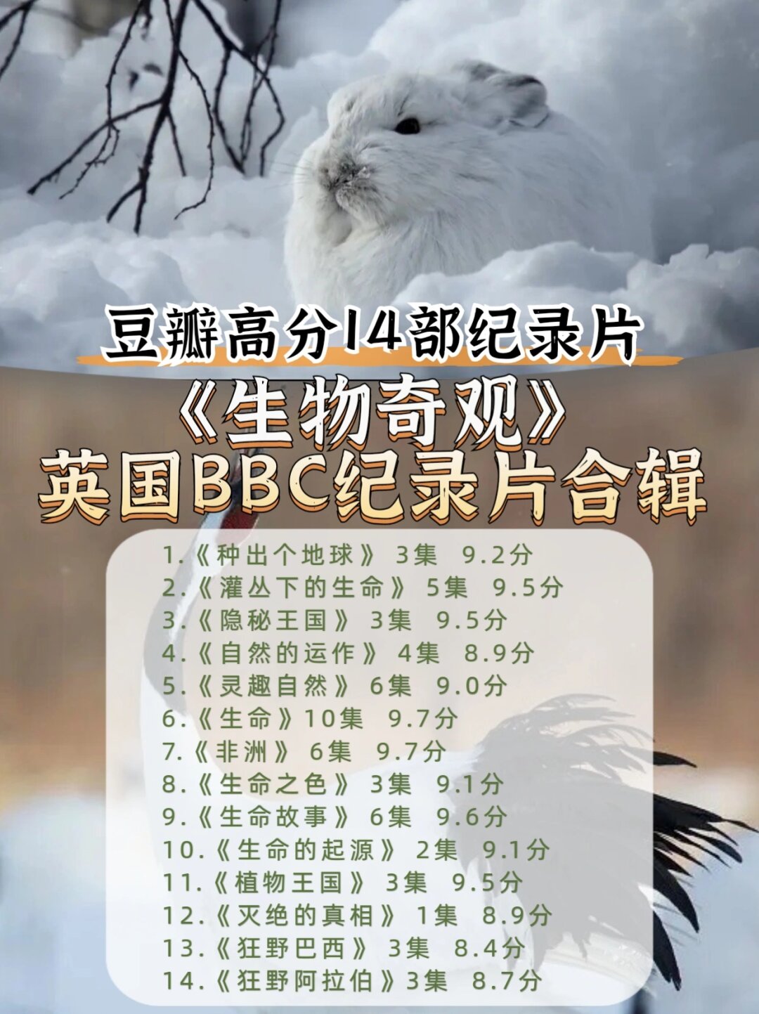 人和马的DNA人与马的DNA，探索生物共性与差异的奇妙旅程