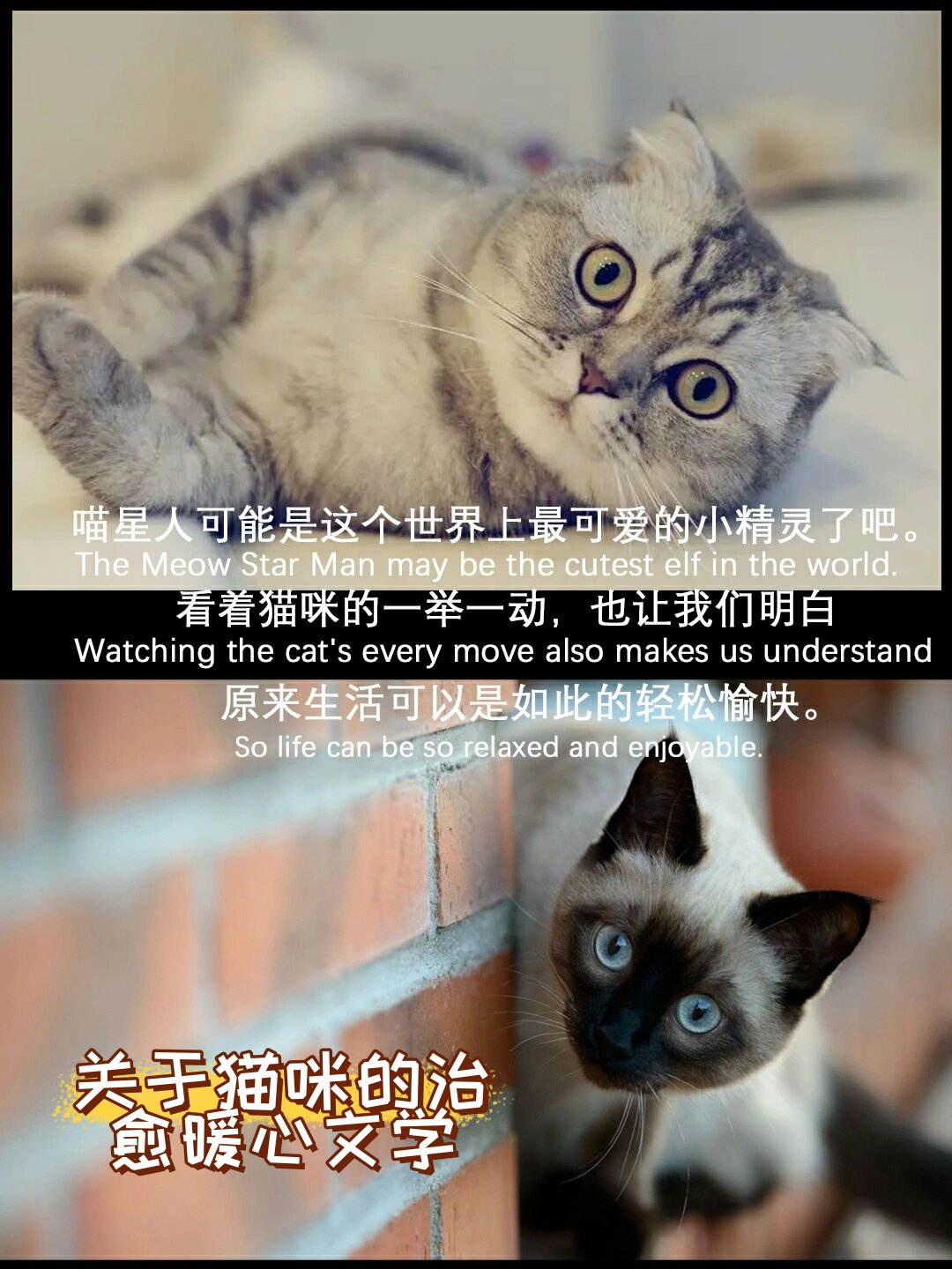 结婚2小时休妻结婚两小时休妻，现代婚姻的反思与挑战