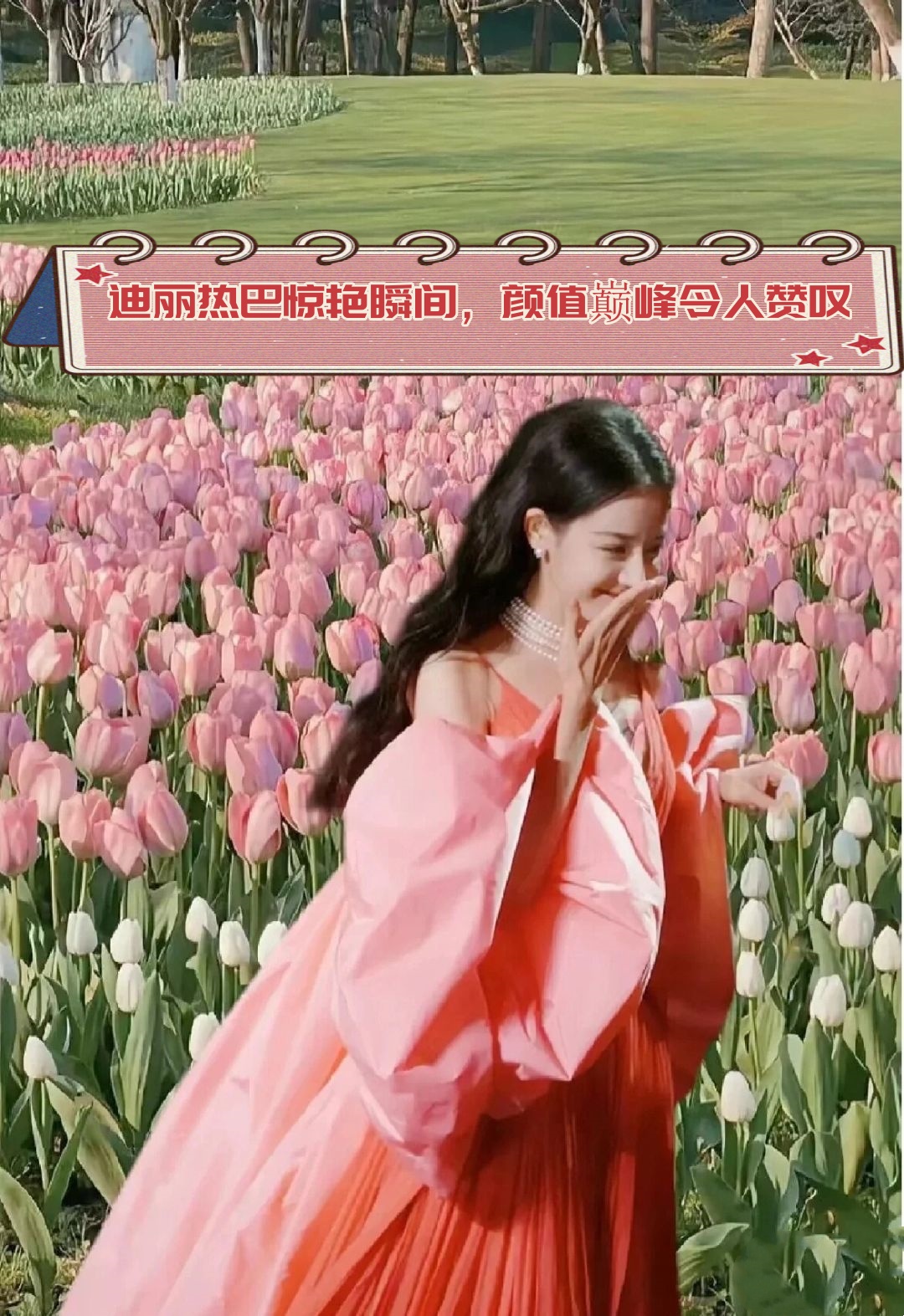 粉色视频在线观看，高清体验与视觉享受