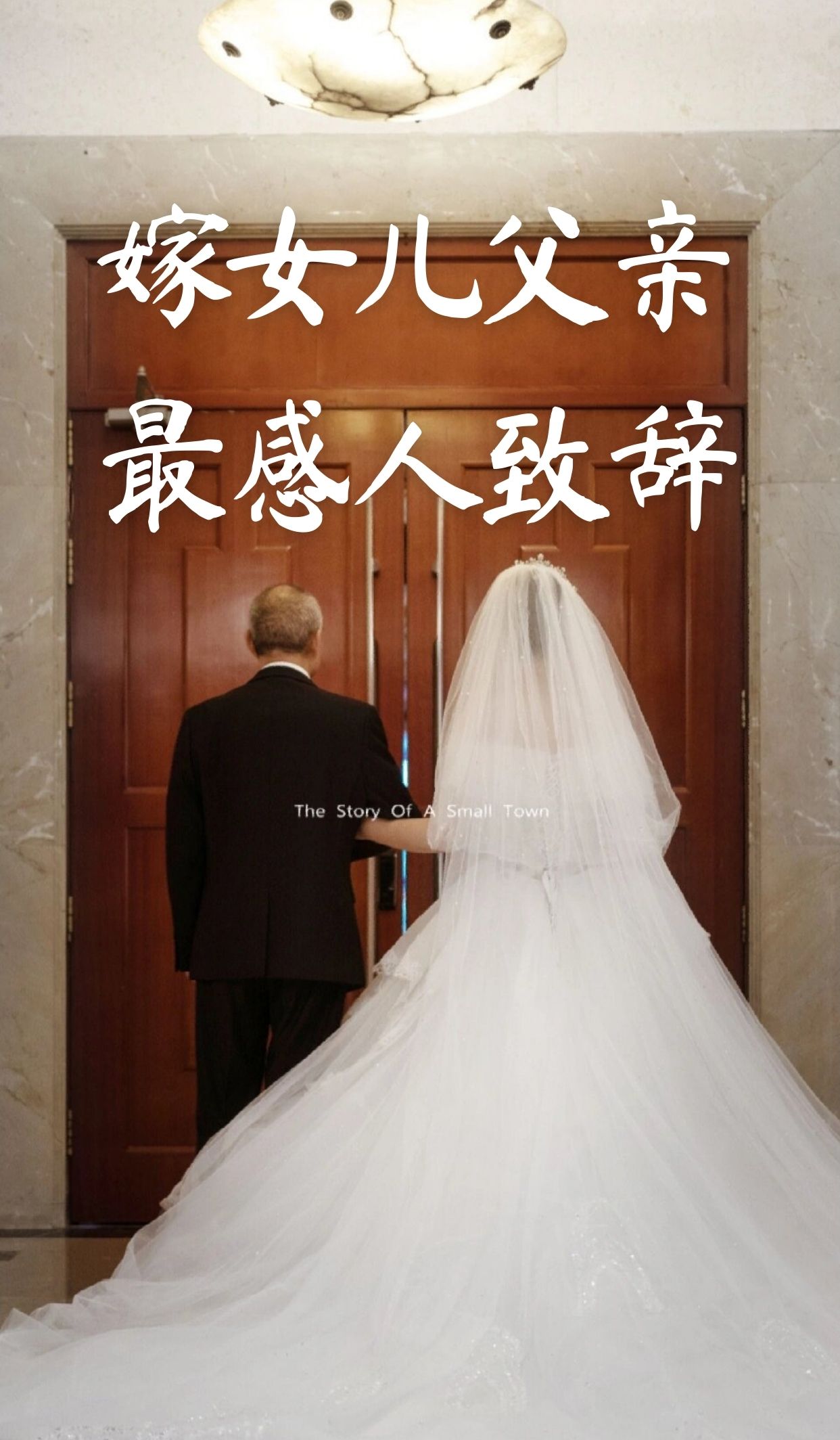 最终还是从了女婿最终还是从了女婿