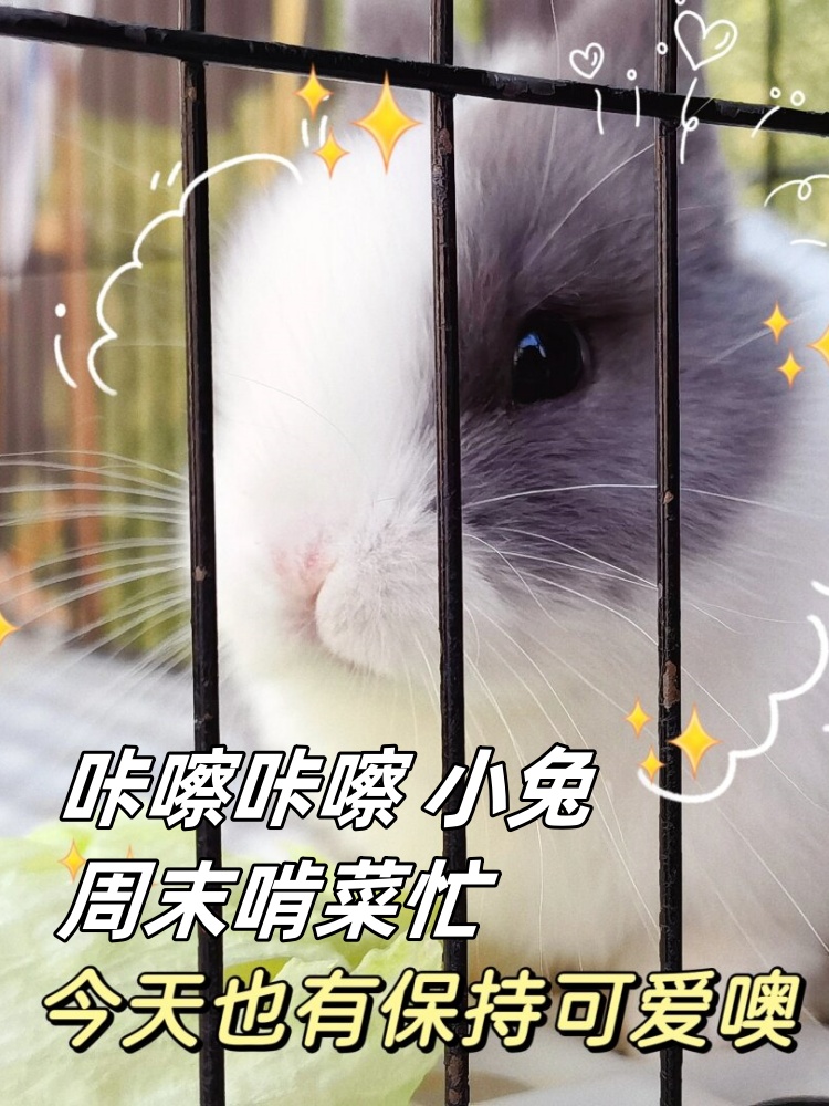 男朋友喜欢吃我的小兔子一吃就吃半个多小时我的男朋友与他的小兔子之谜