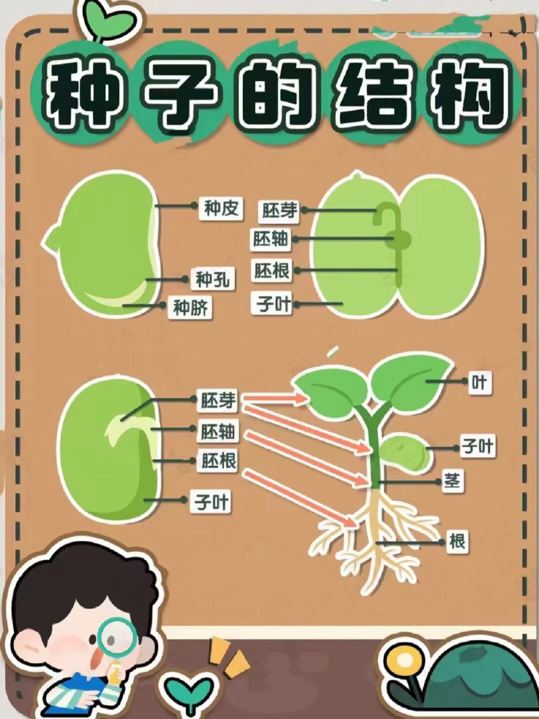 老师你为何这样探索知识殿堂的奥秘——老师，您的知识宝库为何如此丰富？