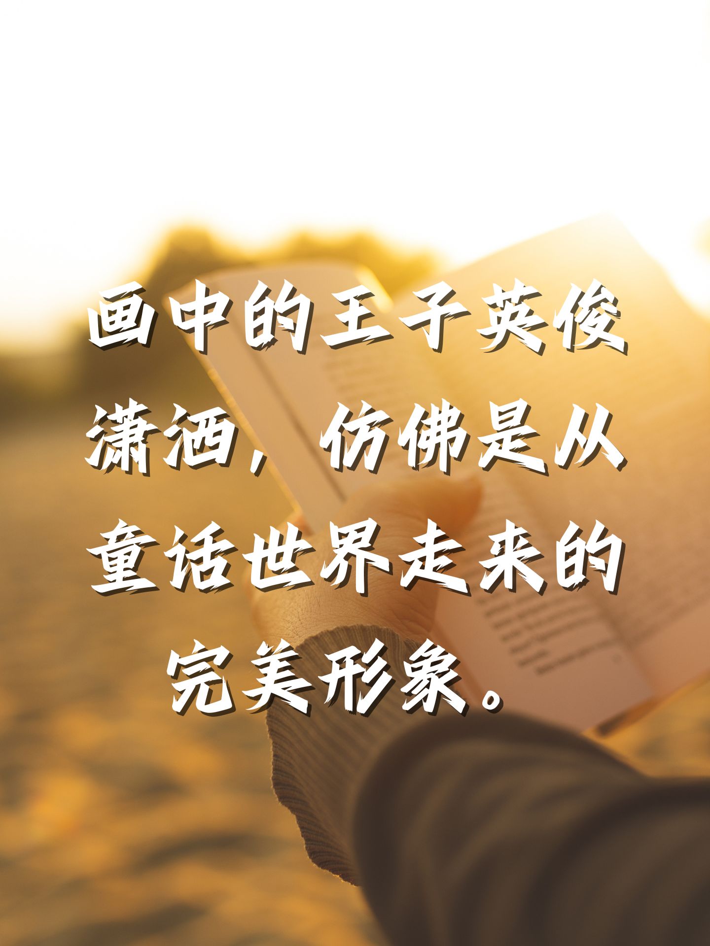 独宠你一生独宠你一生，永恒的承诺与无尽的守护-第2张图片