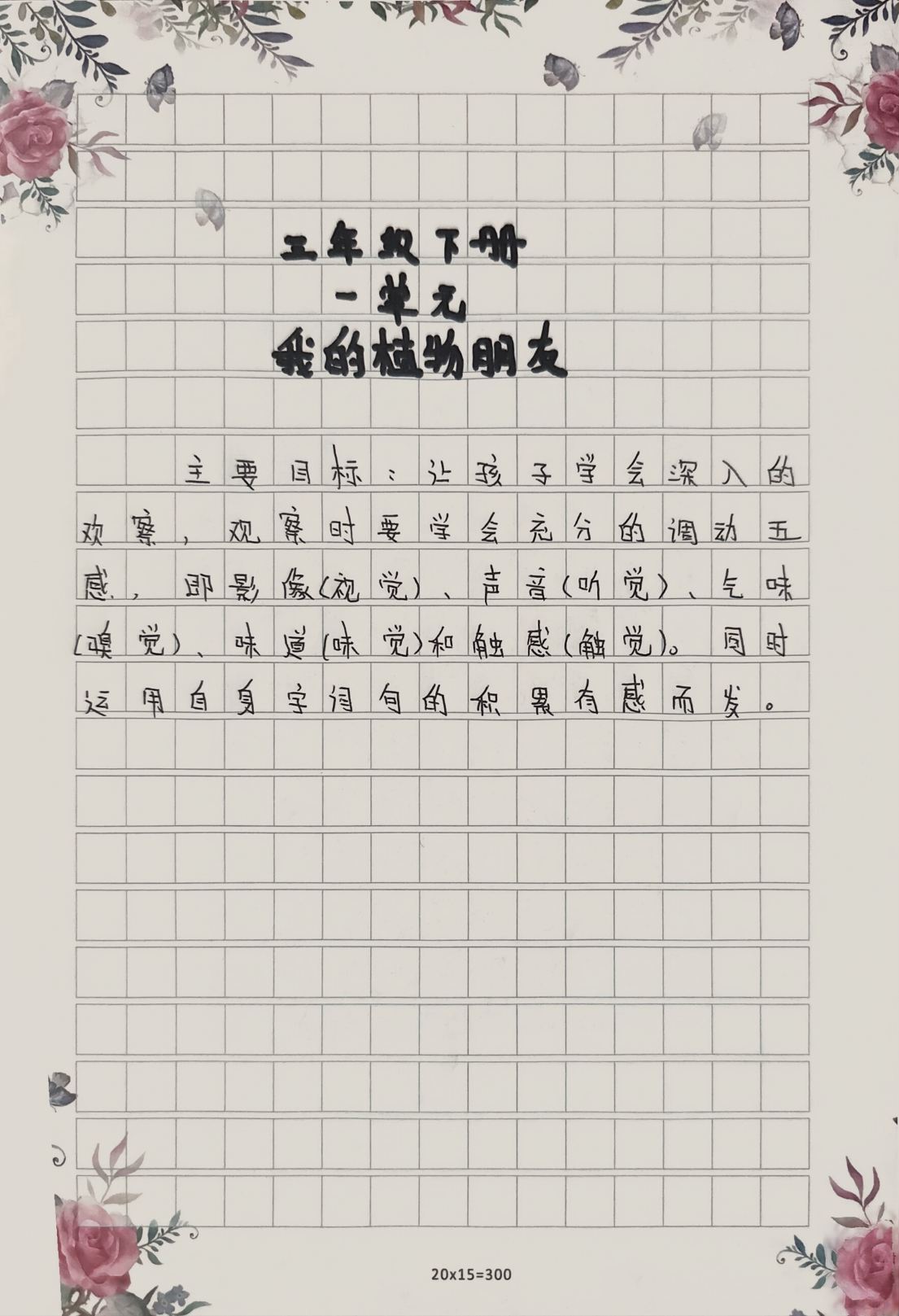 后车座上的温暖作文车行后座，多肉相伴-第2张图片