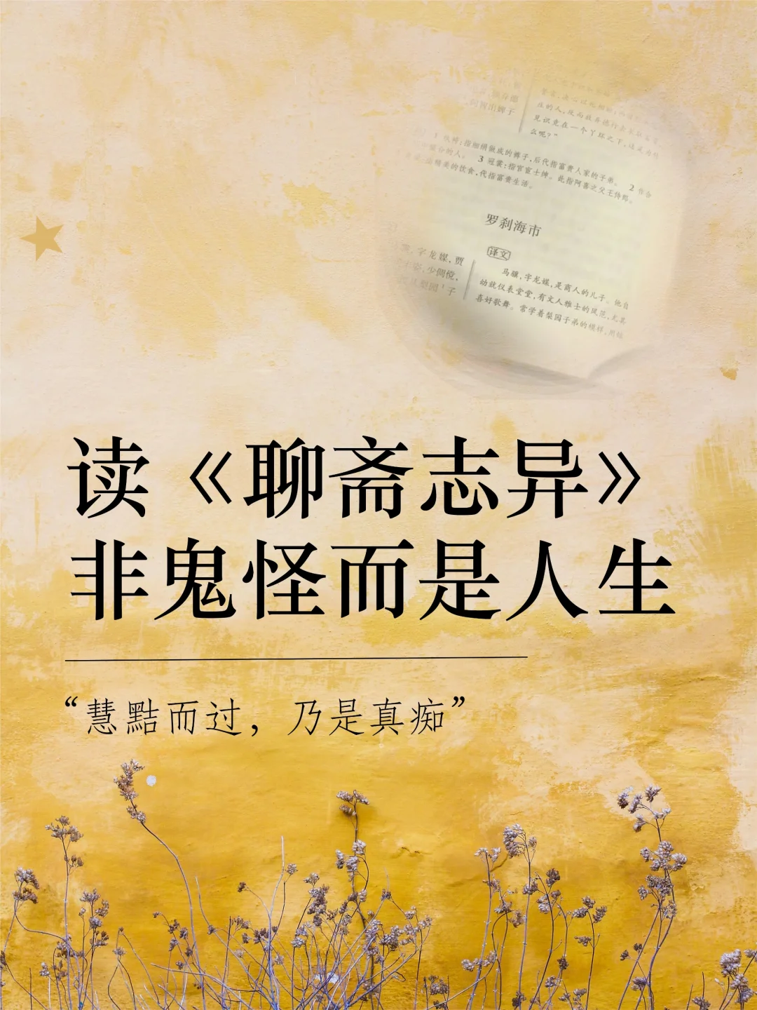 天天小说阅读网站天天小说阅读网，探索文学的无限魅力-第2张图片