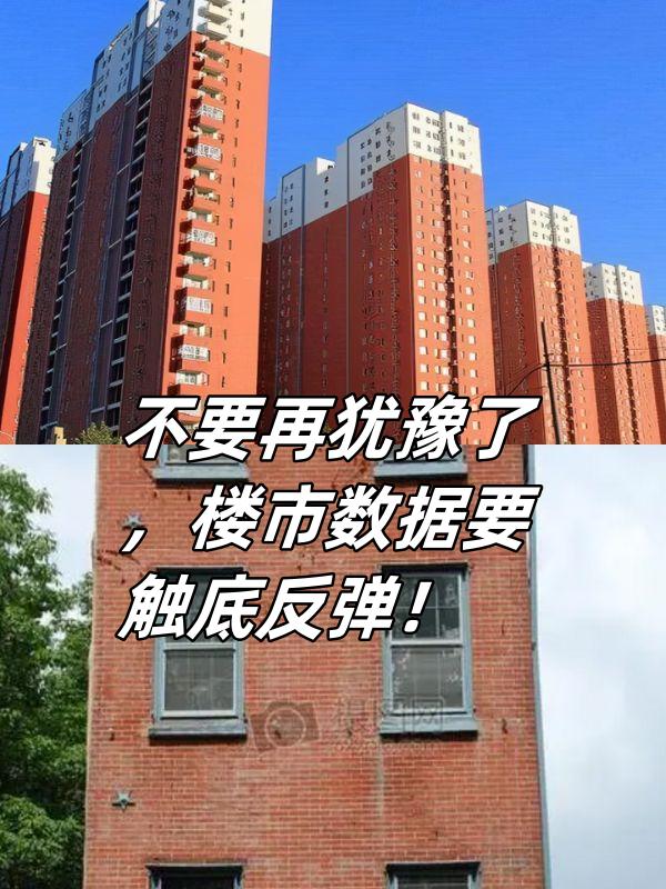 中文在线12月1日快速反弹——市场复苏的信号与展望