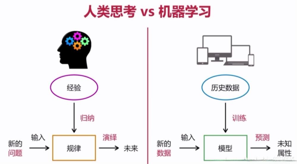 WWW成人探索互联网的多元世界，WWW成人领域的探索与理解-第2张图片