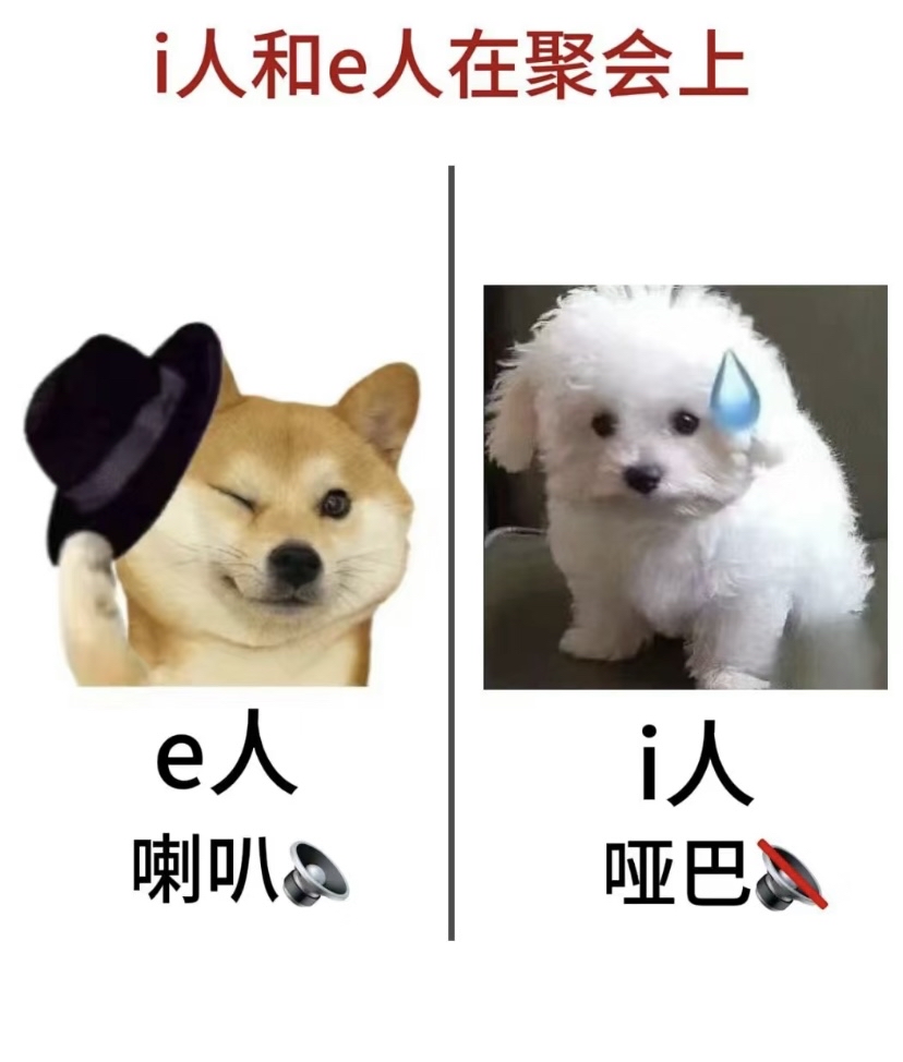 E人和I人是什么意思解析E人与I人的含义