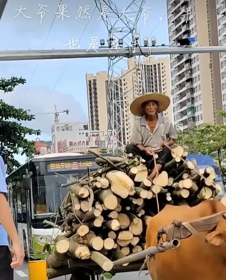 大爷太猛了大爷的惊人风采，太猛了！