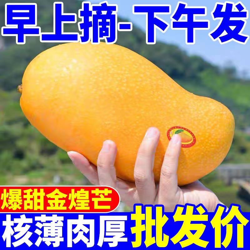 品味多彩芒果盛宴——芒果精品1区至4区详解-第2张图片