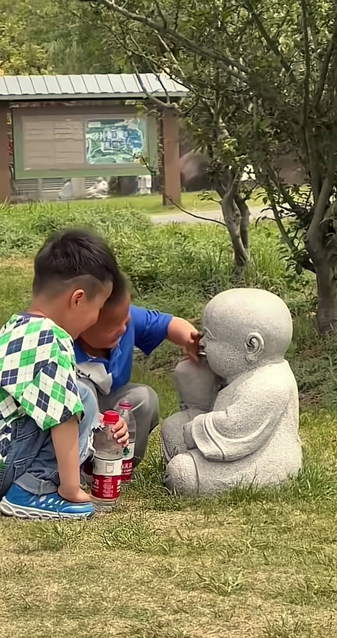 男孩子草男孩子草地上成长的两个男孩子