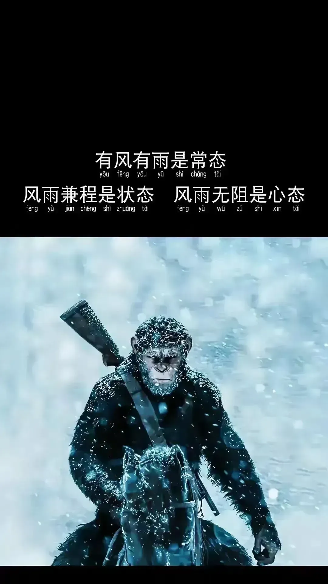 家里没人就让你弄一下独自面对挑战，家里无人时的自我管理与成长
