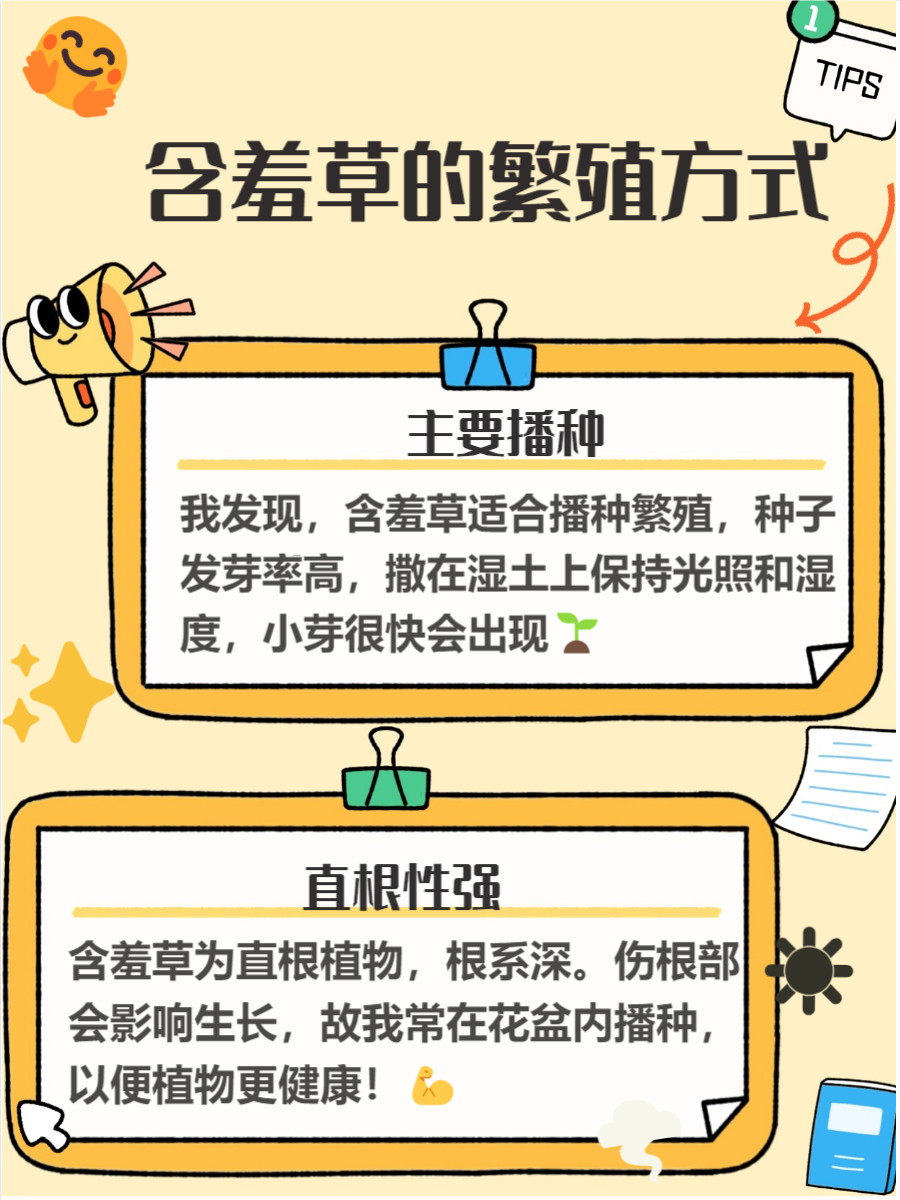 含羞草实验研究所，免费网站下载，探索自然奥秘的门户-第2张图片