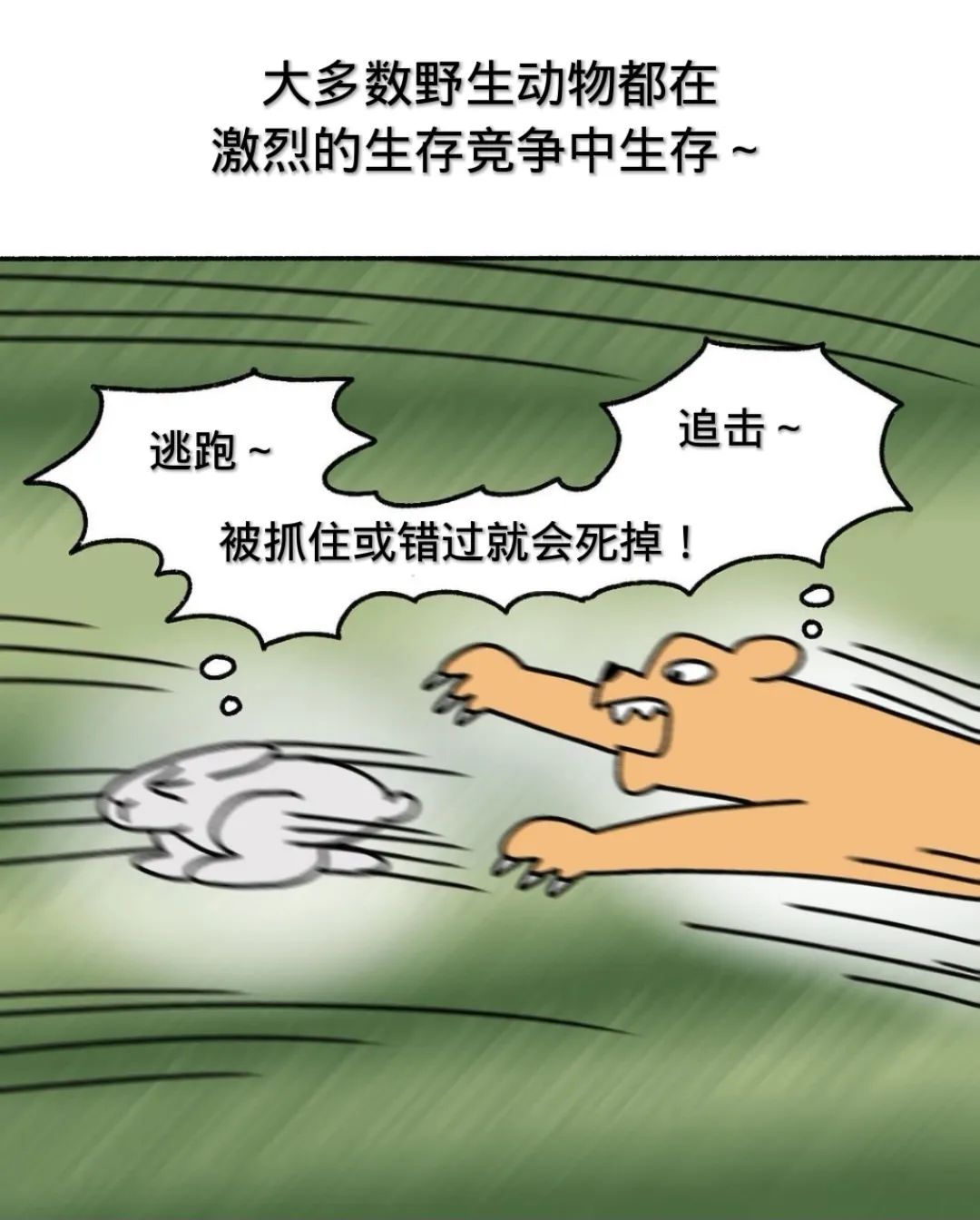 扯掉衣服两只小兔子扯掉衣服后的两只小兔子-第2张图片