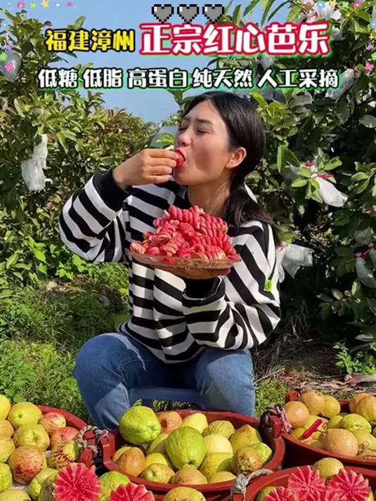 芭乐app下载安卓免费下载最新版芭乐APP，安卓用户必备的免费下载体验-第2张图片