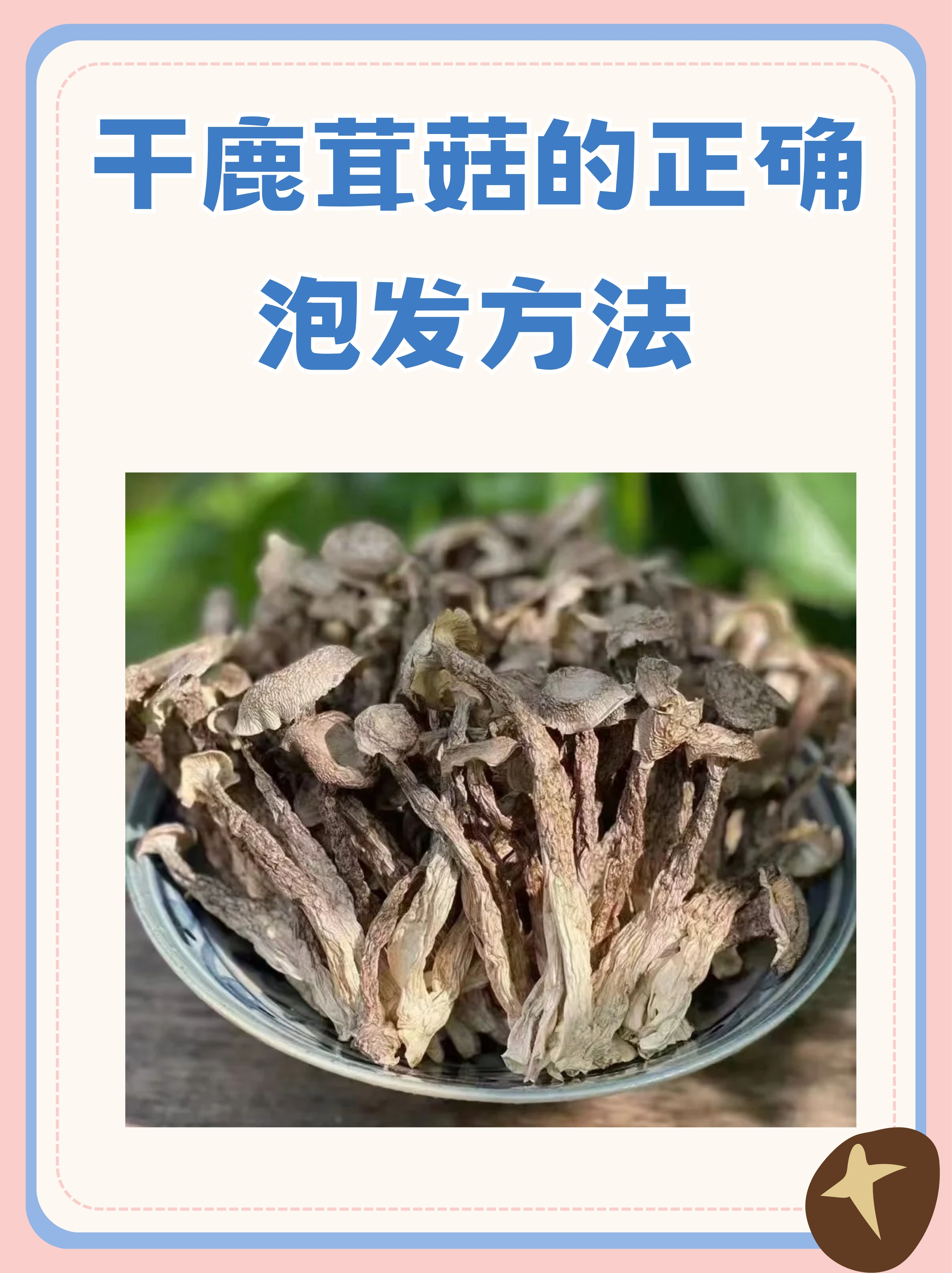 九浅一深的正确使用方法九浅一深，探索与深度的正确使用方法-第3张图片