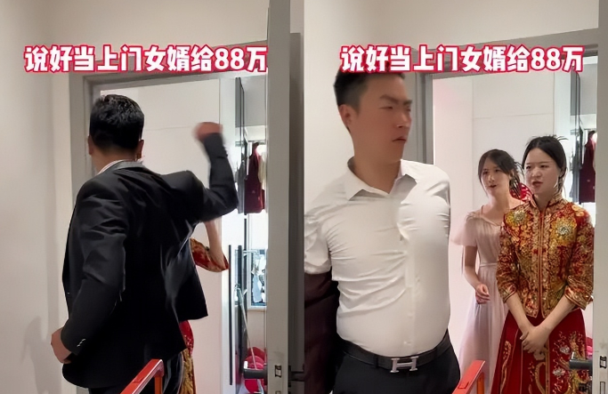 女婿太厉害了女婿的非凡之力-第2张图片