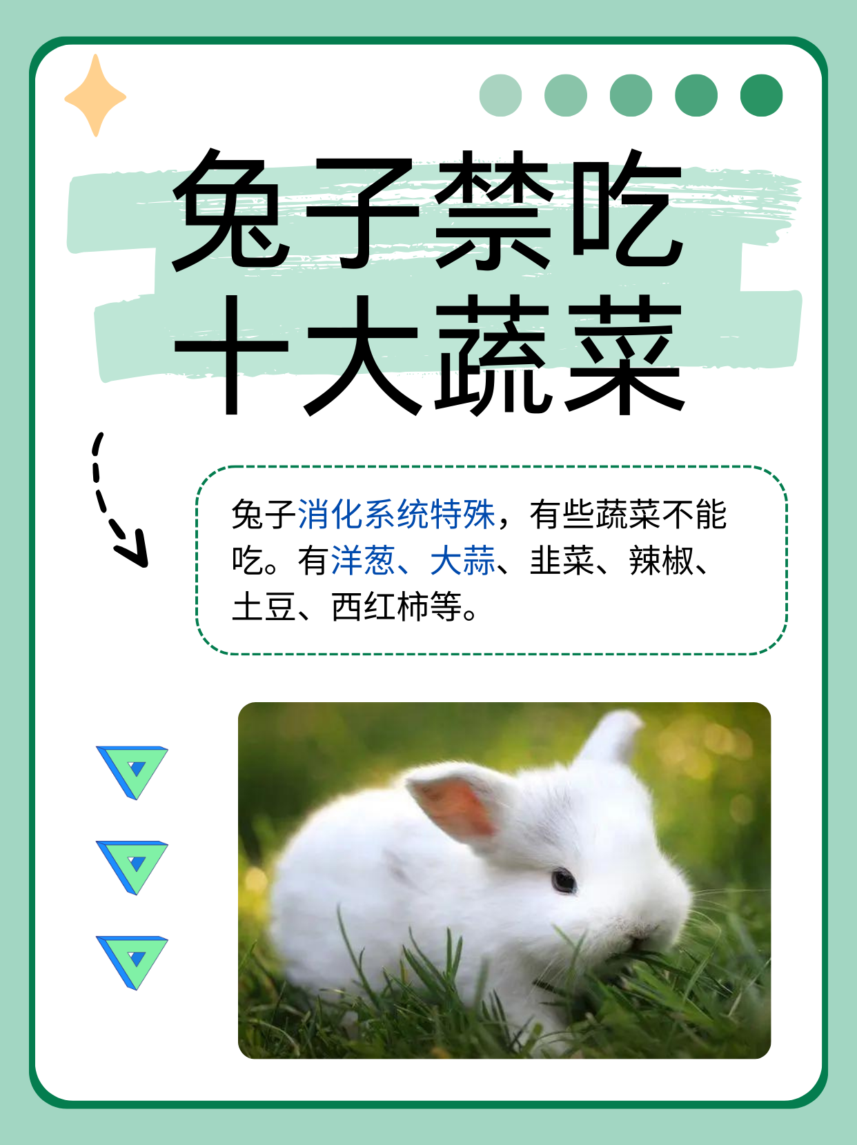 如何吃女生的小兔子图片如何正确享受与女友的亲密时光——以吃小兔兔为例-第1张图片