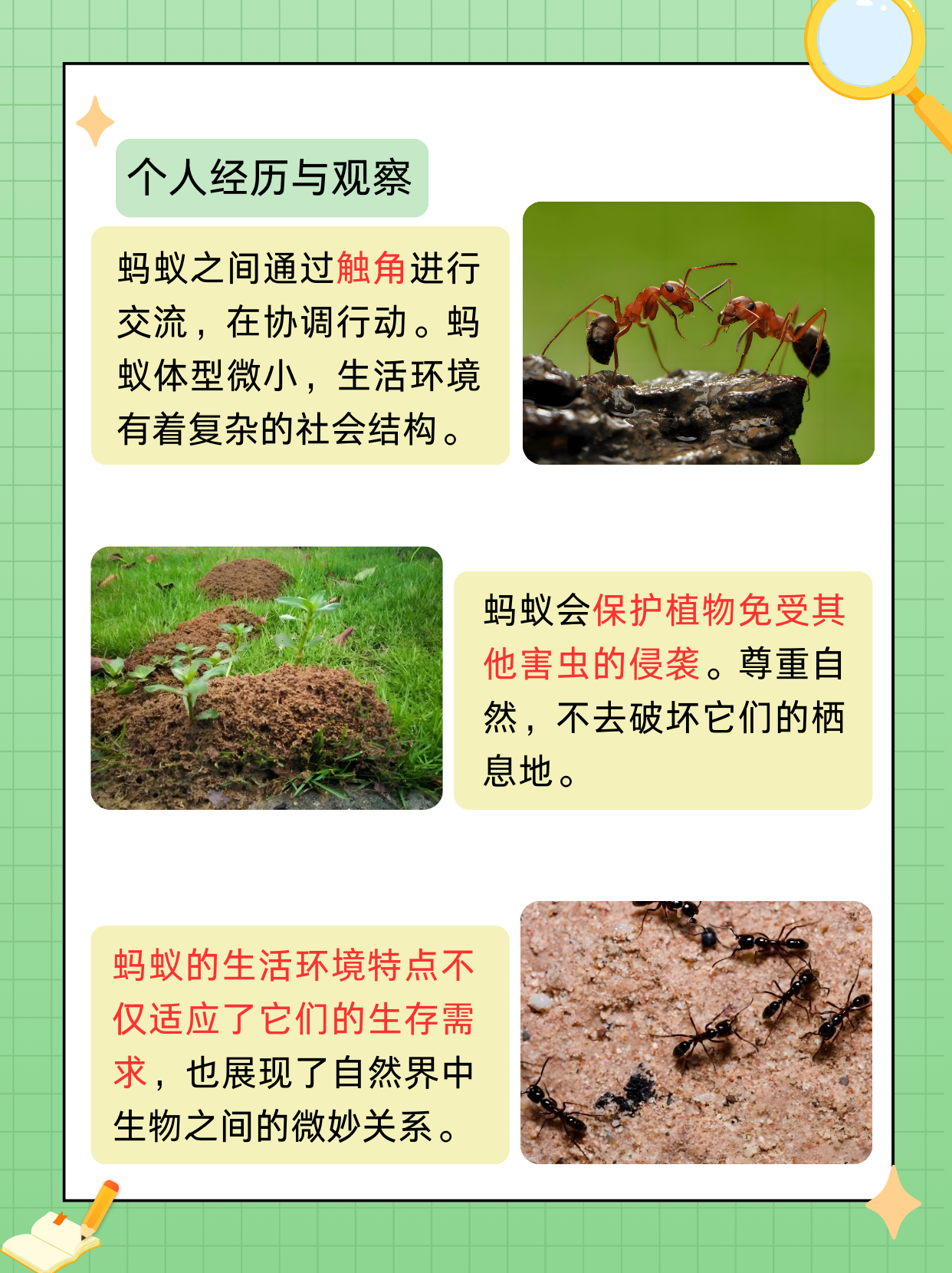蚊子与血型，蚂蚁庄园里的科学探索